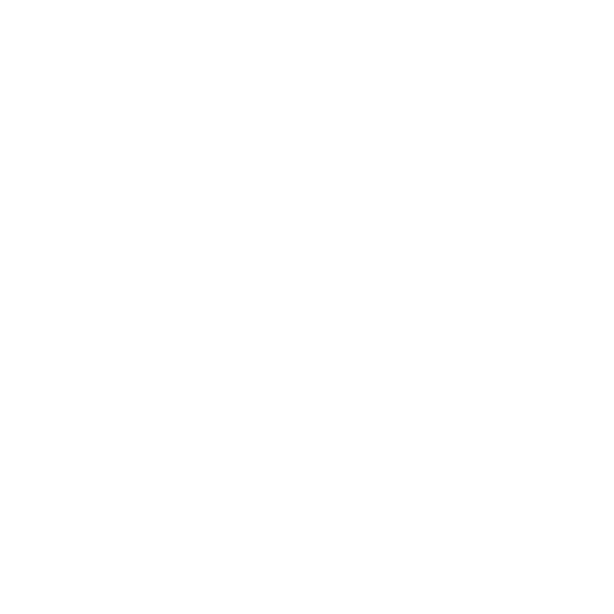Kaplan Fight Academy